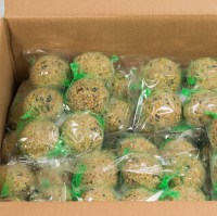 GB Seeds Fatballs 25 X 6 1000x1000